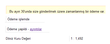 Google Adsense İlk Ödeme