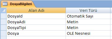 Asp.net ve Asp.net MVC'de Binary Olarak Dosya (Upload) İşlemleri