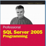 SQL Server 2005 Programming (E-Book)