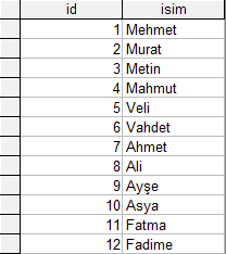 Veritabanında Arama Yapma İşlemleri