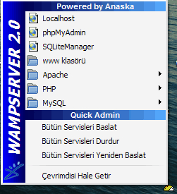 Wamp Server (Apache, Php, MySql on Windows)