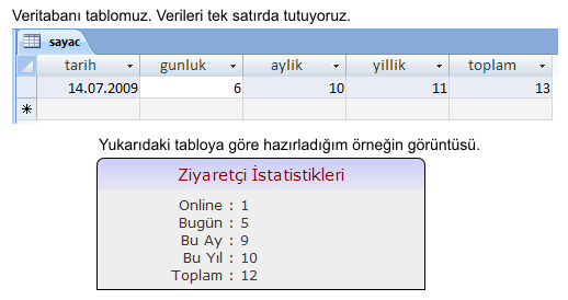 Asp.net ve Veritabanı ile Ziyaretçi Sayacı Yapımı